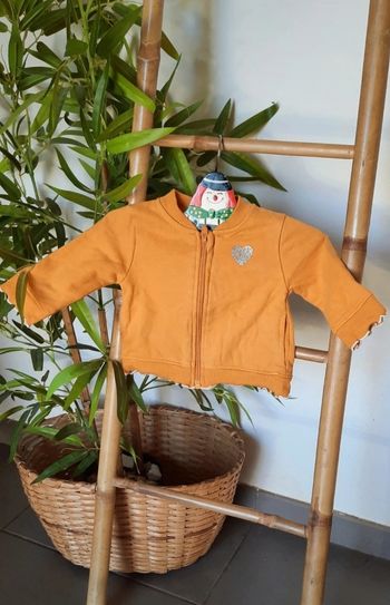 Gilet grain de blé 3 mois