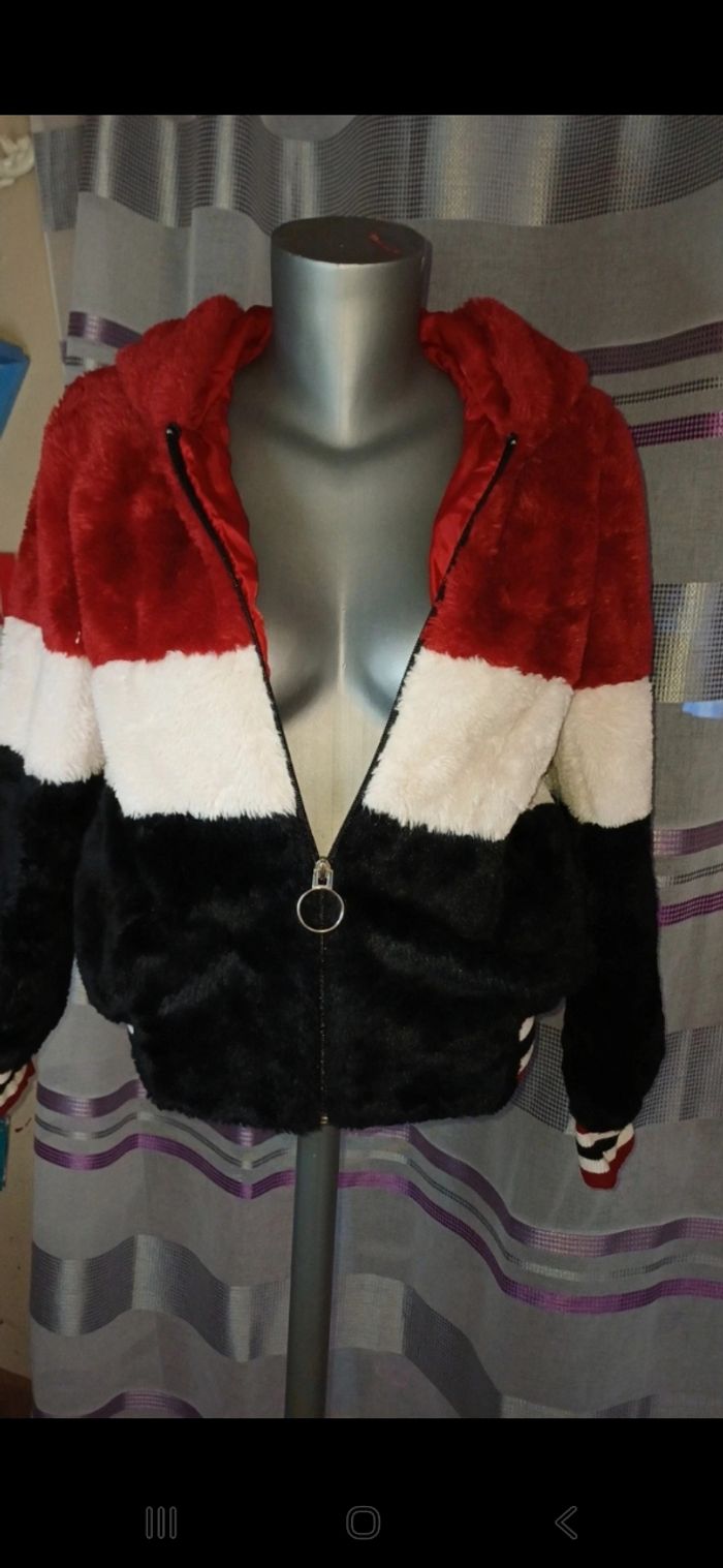 Manteau - photo numéro 6