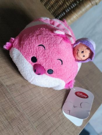 Support phone Cheshire Alice