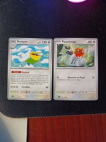 Cartes Pokémon