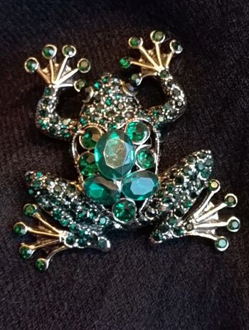 Idée cadeau 🎁 : Broche Grenouille verte
