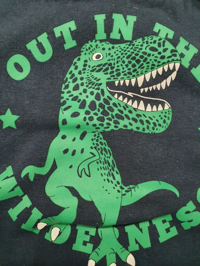 Pull à capuche chaud dinosaure 3 ans - photo numéro 2