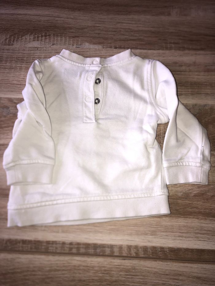 Sweat fruit - photo numéro 2