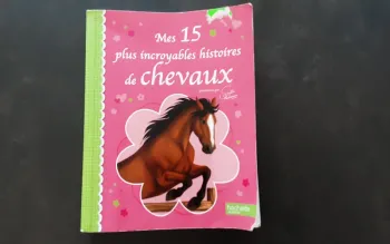 Livre Histoire de chevaux