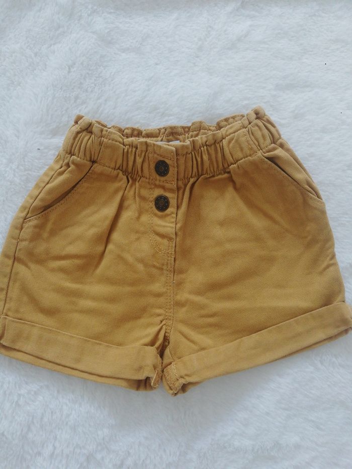 Short camel