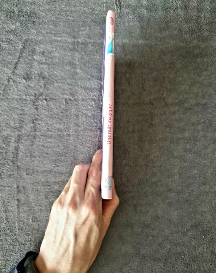 Livre La reine des neiges 13 - photo numéro 7