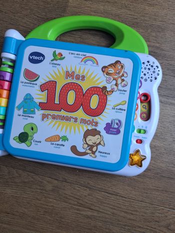 Livre vtech mes 100 premiers mots