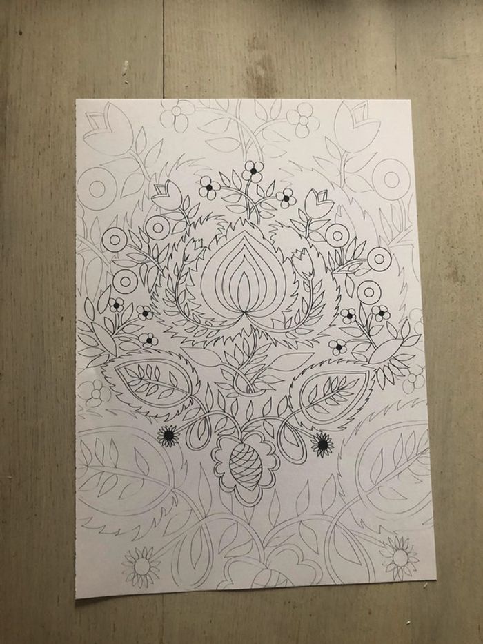 Lot de 10 coloriages neufs - photo numéro 4