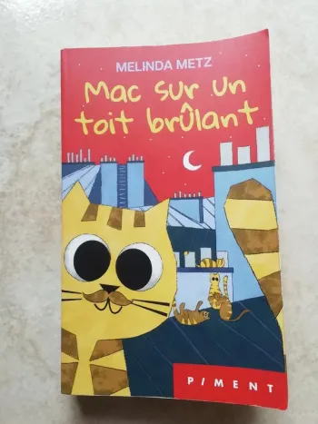 Mac sur un toit brûlant - mélinda metz.