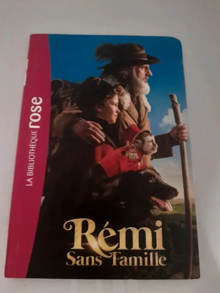 Livre Rémi sans famille 8/10ans