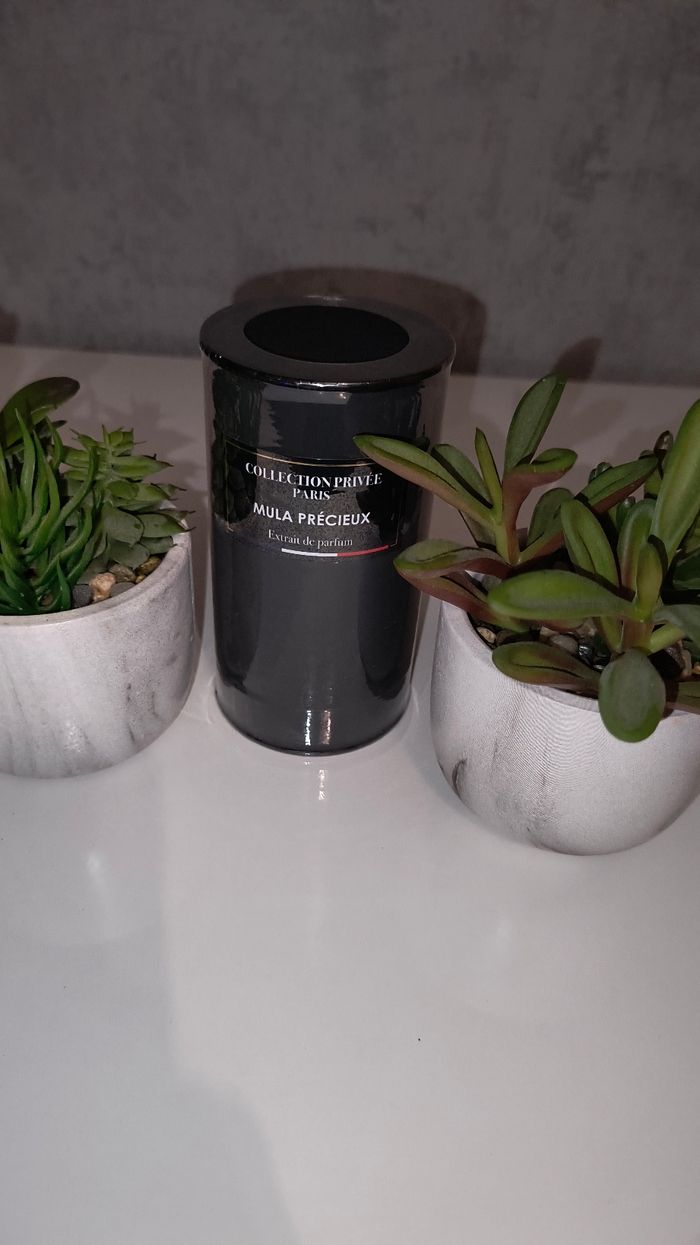 Parfum mula - photo numéro 2