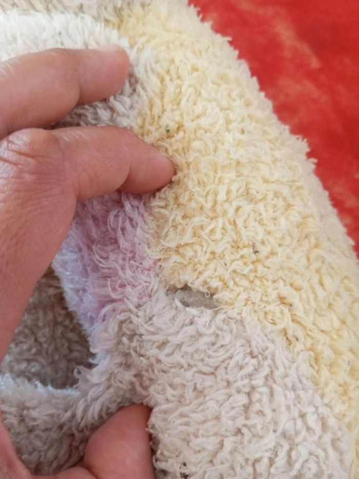 Ours ourson multicolore pastel - photo numéro 10