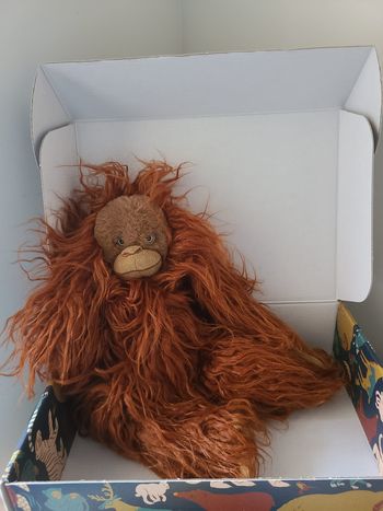 orang-outan