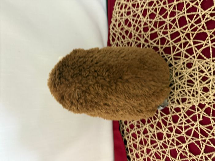 Peluche - héridoux marron hérisson gipsy - photo numéro 4