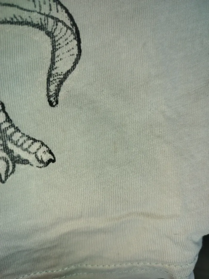 Tee shirts - photo numéro 3