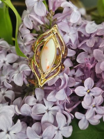 Bague avec sa pierre en acier inoxydable