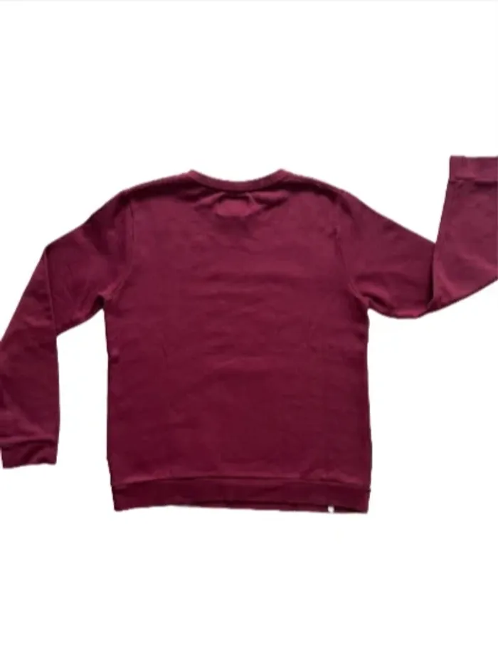 Pull Ras de cou - photo numéro 2