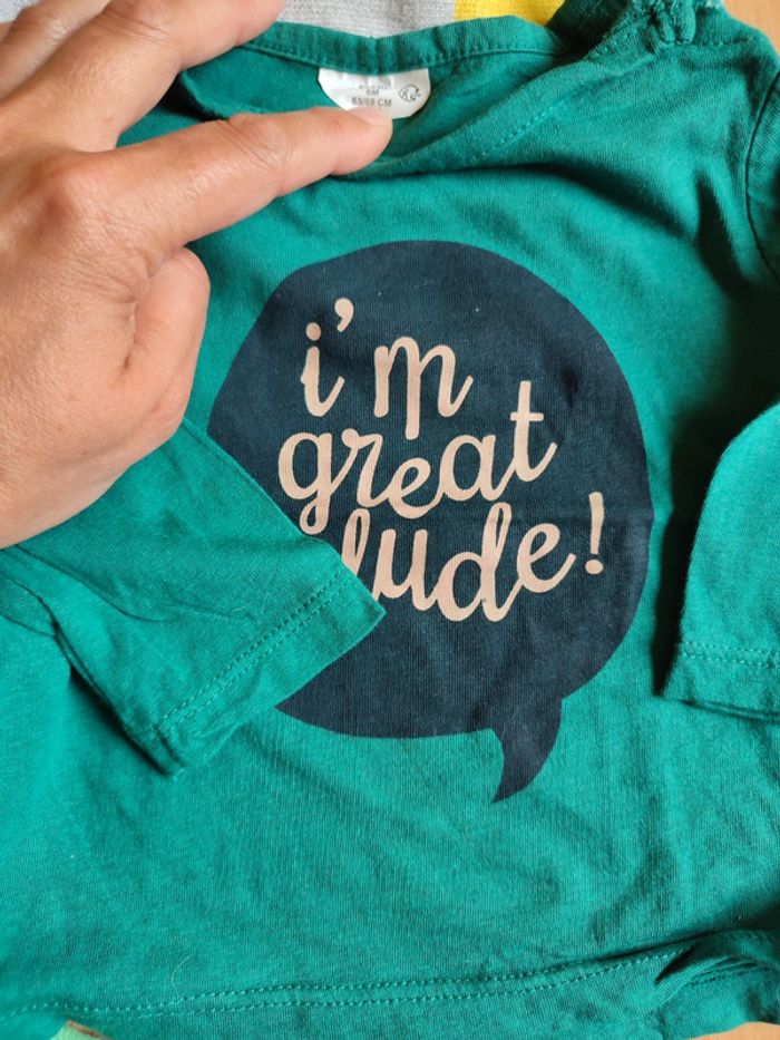 Lot neuf pull gris Vertbaudet + t-shirts manches courtes et longues verts Kiabi en 6M - photo numéro 4