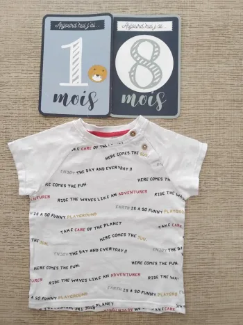Tee shirt 18 mois / 77-82 cm