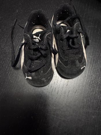 Basket puma