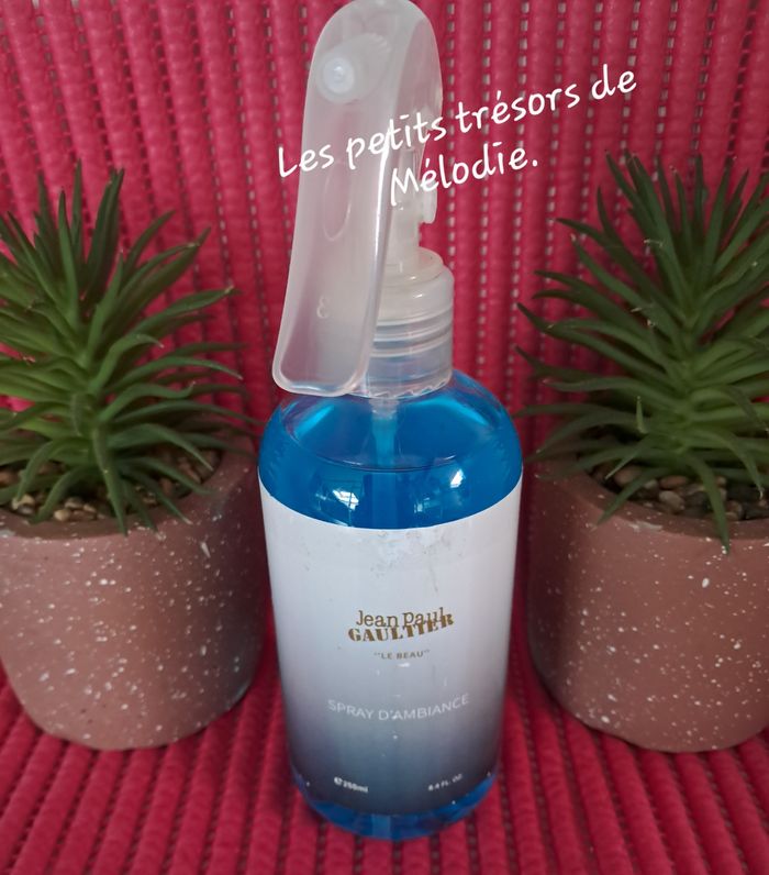 Spray d'intérieur/textile  Le Beau JPG