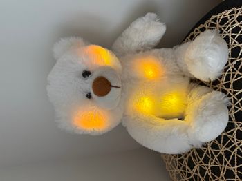 Ours blanc qui change de couleurs