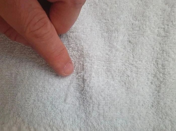 Lot de 2 serviettes bleue et blanche Elle et Lui La Redoute - photo numéro 11