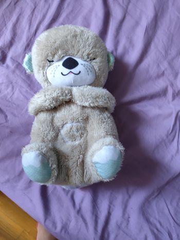 Vends loutre musicale