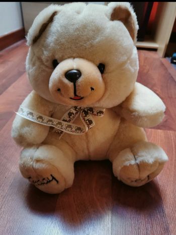 2 peluches ours qui parlent