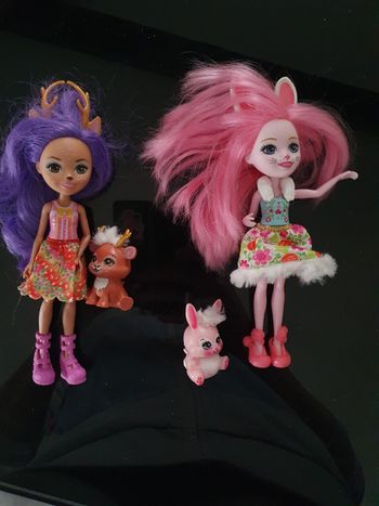 Lot 2 poupées enchantimals