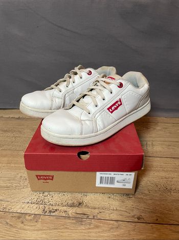 Basket sneakers levis