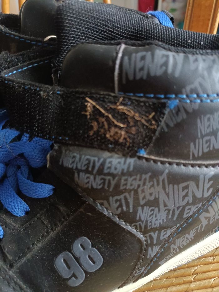 Chaussures - photo numéro 5