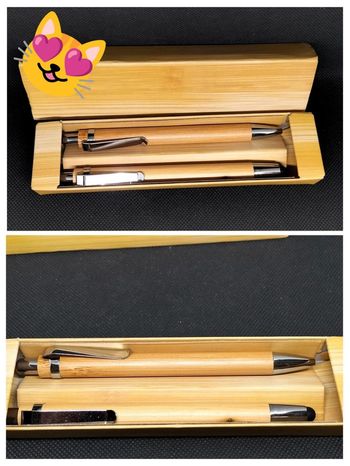 Boite en carton avec 2 stylo dont un avec embout tactile