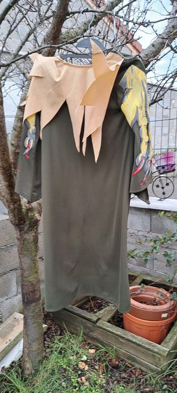 Déguisement genre freddy