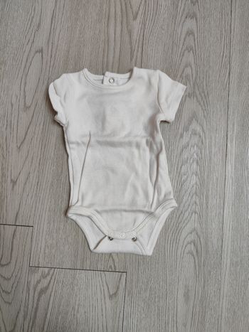 Lot 4 body manches courtes