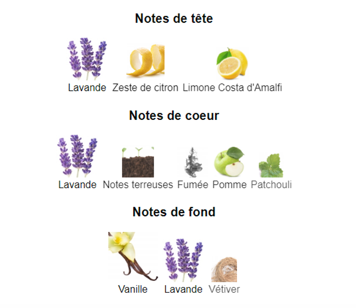 CH Robothic Men "inspi  Paco Rabanne Phantom" eau de parfun 100ml - photo numéro 4