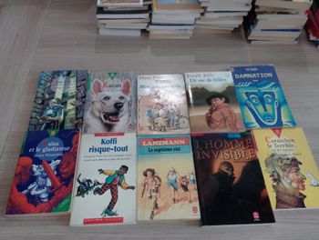 Lot de 10 livres de poches divers (4)