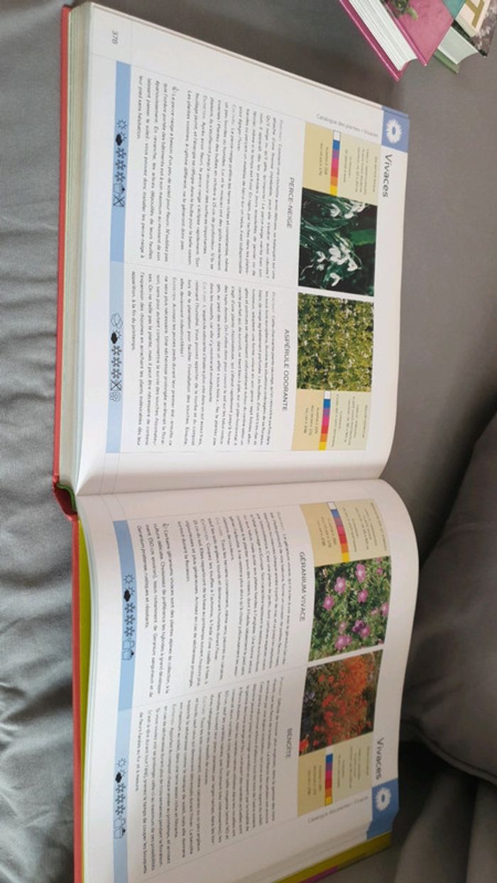 Beau livre sur le jardinage - photo numéro 3