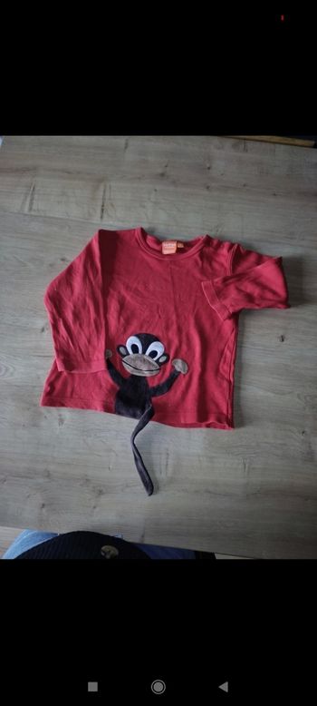 Haut lipfish 98 rigolo singe