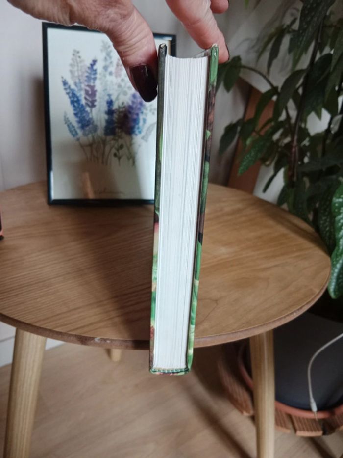 Livre vintage - photo numéro 2