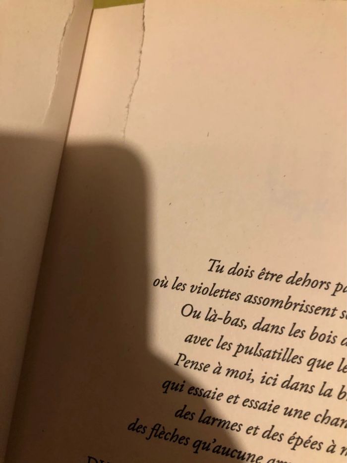 Livre le manoir de lakesedge - photo numéro 6