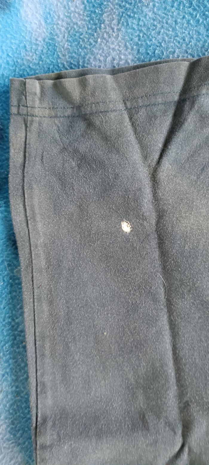 Tee short - photo numéro 4