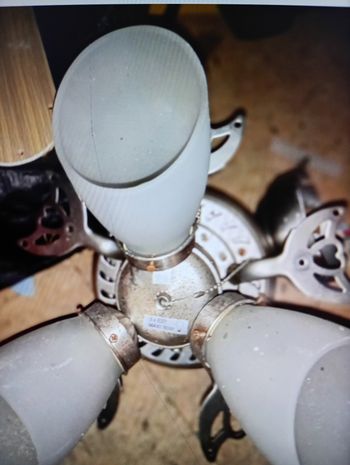 Ventilateur