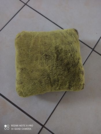 Petit oreiller velours