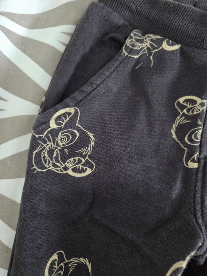 Jogging roi lion - photo numéro 3