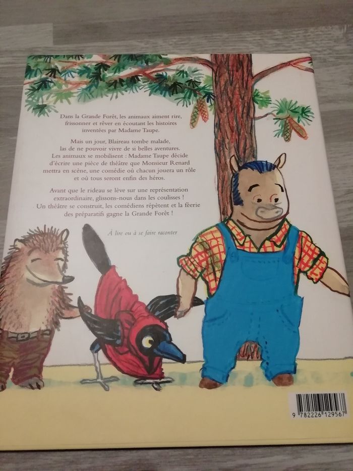 Livre le théâtre de la grande forêt - photo numéro 2