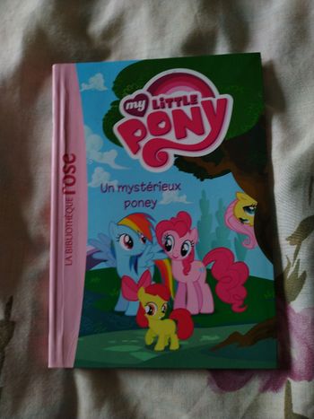 Un mystérieux poney