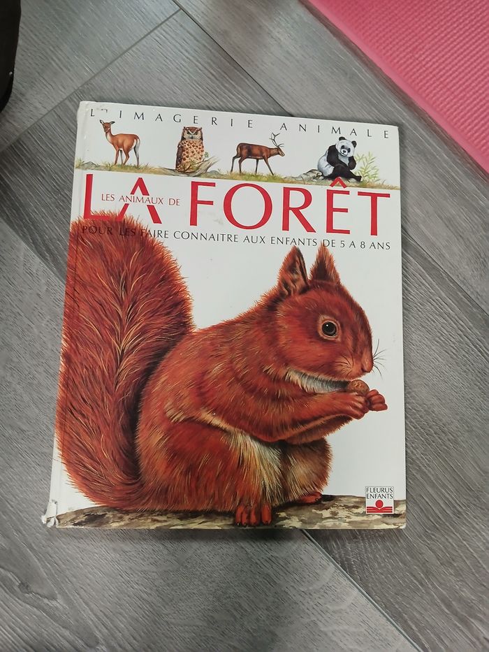 La grande imagerie