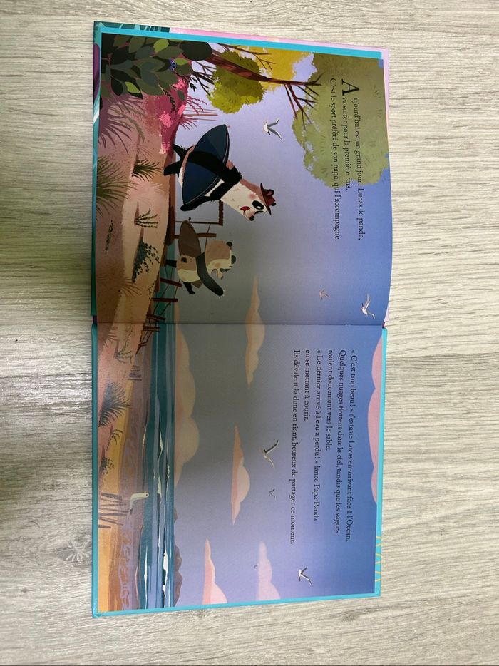 Livre - photo numéro 2