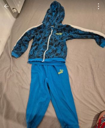 Ensemble puma